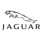 jaguar-vector